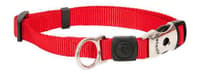 Dog Collars & Leashes - Collars